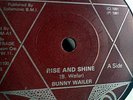 Rise And Shine Bunny Wailer