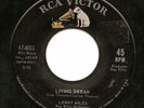 LISTEN -   NORTHERN SOUL POPCORN  -  LENNY MILES