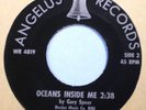 STONE GARDEN (Angelus)1969 Fuzz Psych Garage 45 LISTEN