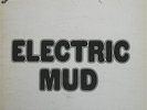 MUDDY WATERS *ORIGINAL ISSUE Electric Mud ALBUM LPS 314