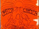 FLEUR DE LIS Rarest Danish Prog Psych ORIGINAL