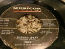 RARE FUNK 45/ S.O.U.L. 