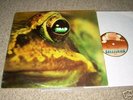 TOAD - SAME - SWISS PROG. - ORIG. LP - 1971 SWISS