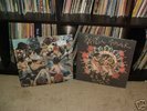 Panda Bear LP Person Pitch & Bro's 12'' SS OOP NICE