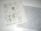 RRR 500: Locked Groove Vinyl LP (Sonic Youth/Deerhoof)