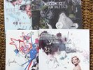 FOALS - VERY RARE 4 x 7