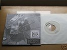 NOFX - Drowning Roses split 7