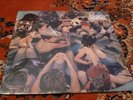 Panda Bear Person Pitch 2xLP MINT SLD animal collective