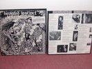 Deviated Instinct - Rock 'n' Roll Conformity lp Crust