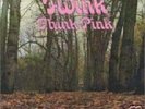 THINK PINK by TWINK **RARE** LP