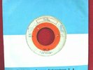Los Saicos 