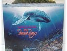 THE BEACH BOYS/ SUMMER IN PARADISE (Korea Rare Lp)