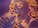MADONNA- EROTICA - PICTURE DISC.