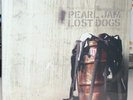 Pearl Jam - Lost Dogs (Epic) Eddie Vedder MINT