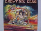 ELECTRIC EELS Rare Indie Rock LP So California