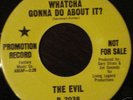 60s Garage - THE EVIL - Pebbles 2 Sider - HEAR