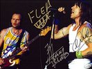 THE RED HOT CHILI PEPPERS signed Autograph Photo & COA