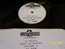 DJ NEXUS -DARK GATHERING VOLUME 2 -BACK 2 BASICS-RARE