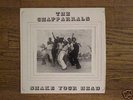 The Chapparrals Shake Your Head Rare Private Press Funk