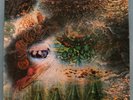 Pink Floyd A SAUCERFUL OF SECRETS Vinyl MONO 1st press