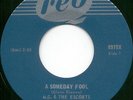 M.G. & The Escorts A SOMEDAY FOOL 7