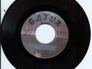 NEW ORLEANS 70's SOUL 45 - WILLIE TEE - LISTEN