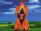 David Bowie - Earthling vinyl DELETED