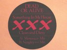 DEAD OR ALIVE 