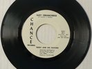TEDDY & HIS PATCHES Garage PSYCH Punk 45 on Chance / EX