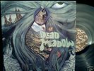 DEAD MEADOW - CLEAR VINYL LP Indie stoner rock