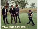 BEATLES 45 Italy I'm loser/Eight days a week