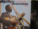 MUDDY WATERS-At Newport / Blues / Live 1960 / Rare LP