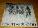 DYS Brotherhood RARE 1983 Boston Punk LP SXE KBD