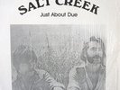 Salt Creek - Just About Due PRIVATE DARK RURAL FOLK LP