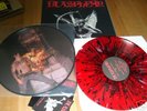 BLASPHEMY - fallen NOCTURNAL GRAVE DIE HARD LP