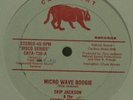 SKIP JACKSON & THE NATURAL EXPERIENCE  *LISTEN* 
