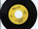 NEW ORLEANS 70's MODERN SOUL 45 - PHILHARMONICS -LISTEN