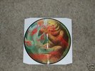 Bear VS Shark pic disc 1st press Nofx  hot water music