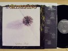 The Gathering - Nighttime Birds (rare limited Vinyl LP)