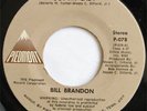 BILL BRANDON The Streets Got My Lady RARE northern soul