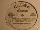 **BIG DADDY KANE & ANTOINETTE**RAW ATTITUDE HOT CHILLIN