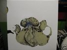 COIL Ape of Naples 4 LP Box OOP Current 93 NWW