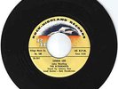 RARE MINT ROCKABILLY 45-  El 'Dorados on Rock-Highland