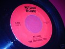THE CHAPARRAL TRIO - Roxanne - Top Psych Killer