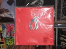Animal Collective - Hollinndagain LP Original Acid Folk