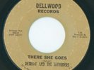 RARE NORTHERN DETROIT & THE INTRUDERS THERE SHE GOES