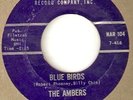 AMBERS BLUE BIRDS NORTHERN SOUL hear