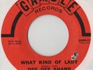 dee dee sharp / what kind of lady