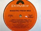 MAESTRO FRESH WES bring it on (showbiz remix) 12