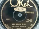 24)  78 RPM   SNITCHER ROBERTS   OKEH 8750      